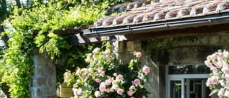 Vue depuis l’hébergement