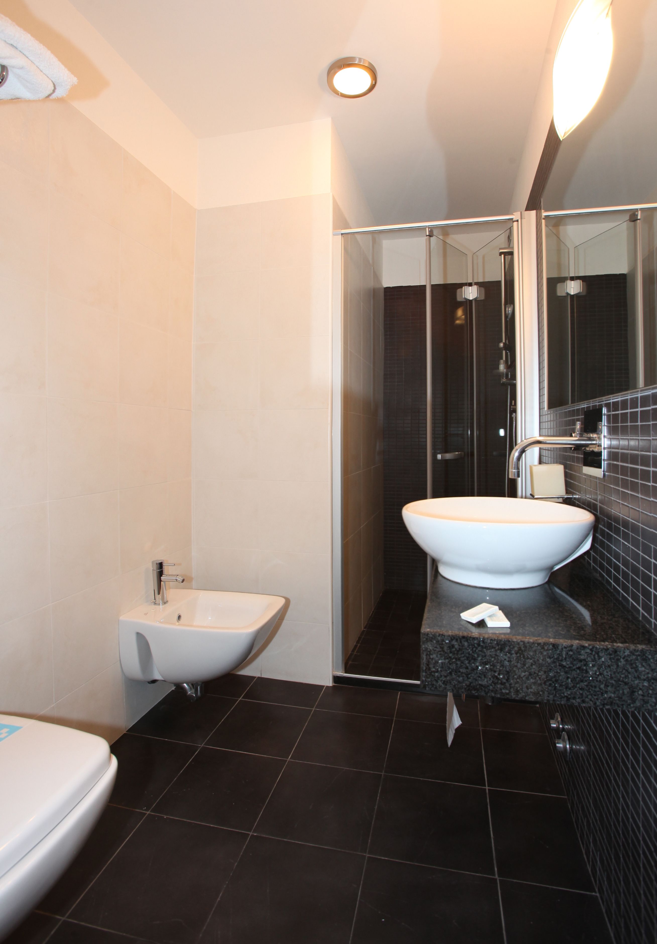 hair dryer, bidet, towels