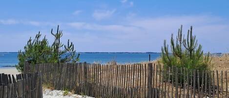 Una playa arenosa con una valla de madera y vegetación escasa.