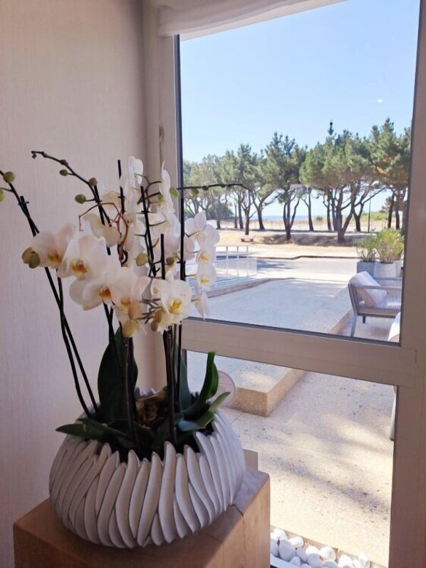 A potted orchid arrangement on a wooden stand by a window with a view of a parking area and trees.