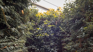 Ein Garten mit einem gepflasterten Weg, der zu einem Holzzaun führt.