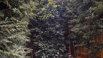 Jardín