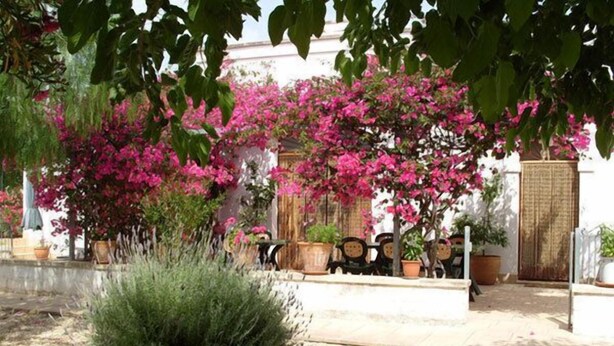 Garden - Masseria Casa Nostra (Fasano)