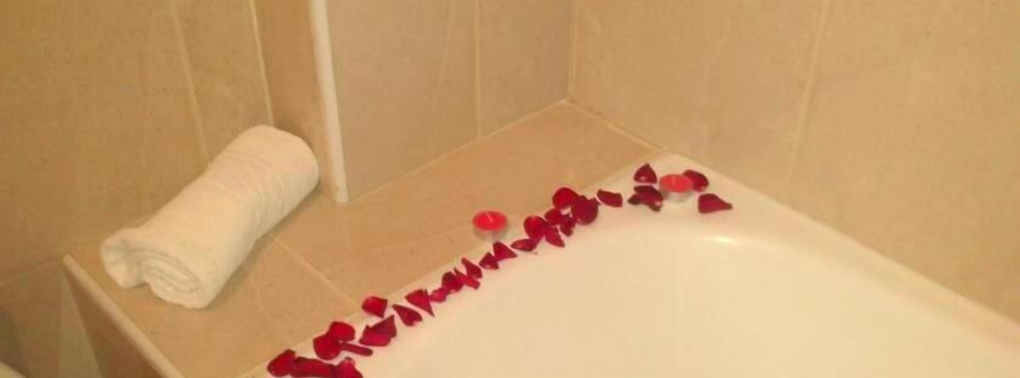 combined shower/bathtub, hair dryer, bidet, towels