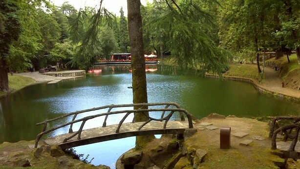 A tranquil pond with a wooden bridge, surrounded by lush greenery and trees. - Hotel Dom Vilas (Braga)