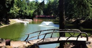 A park with a pond, a bridge, and a fountain. - Hotel Dom Vilas (Braga)