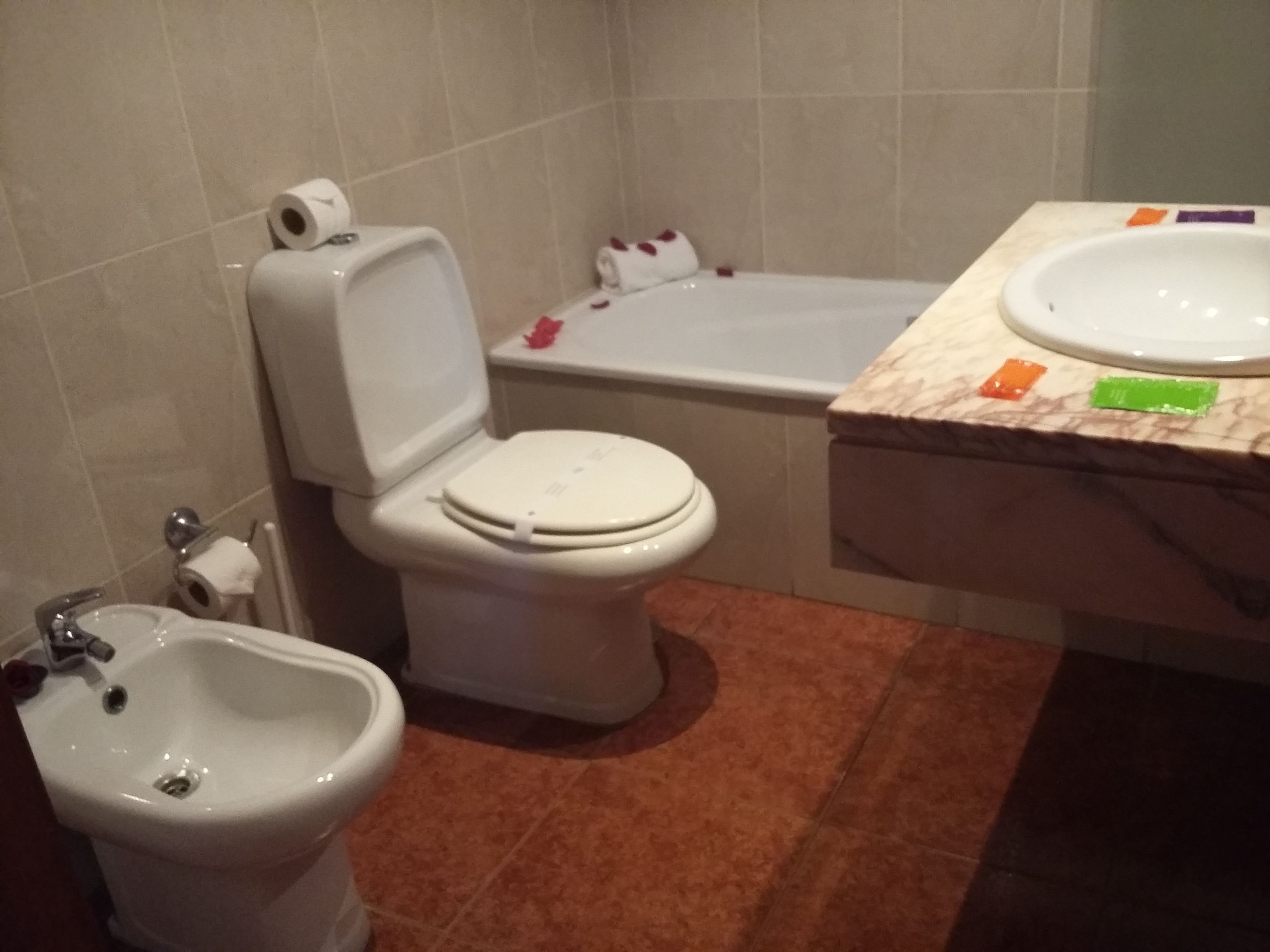 single room | bathroom | combined shower/bathtub, hair dryer, bidet, towels
