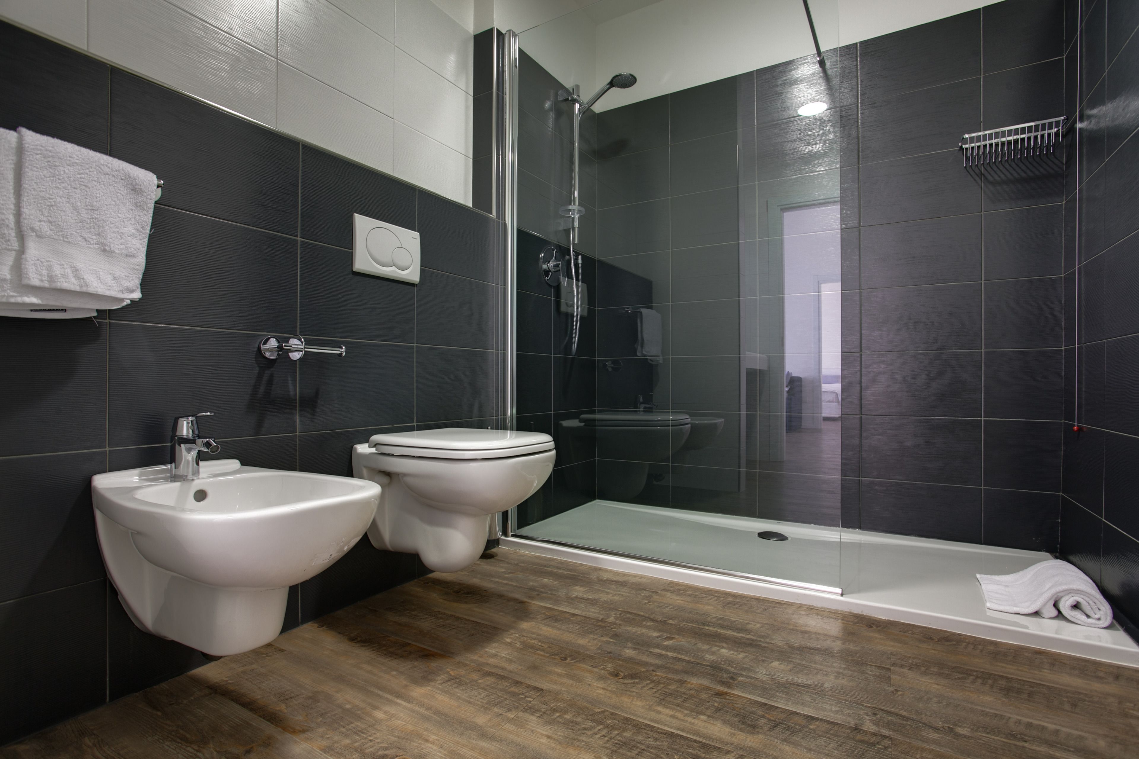 shower, free toiletries, hair dryer, bidet