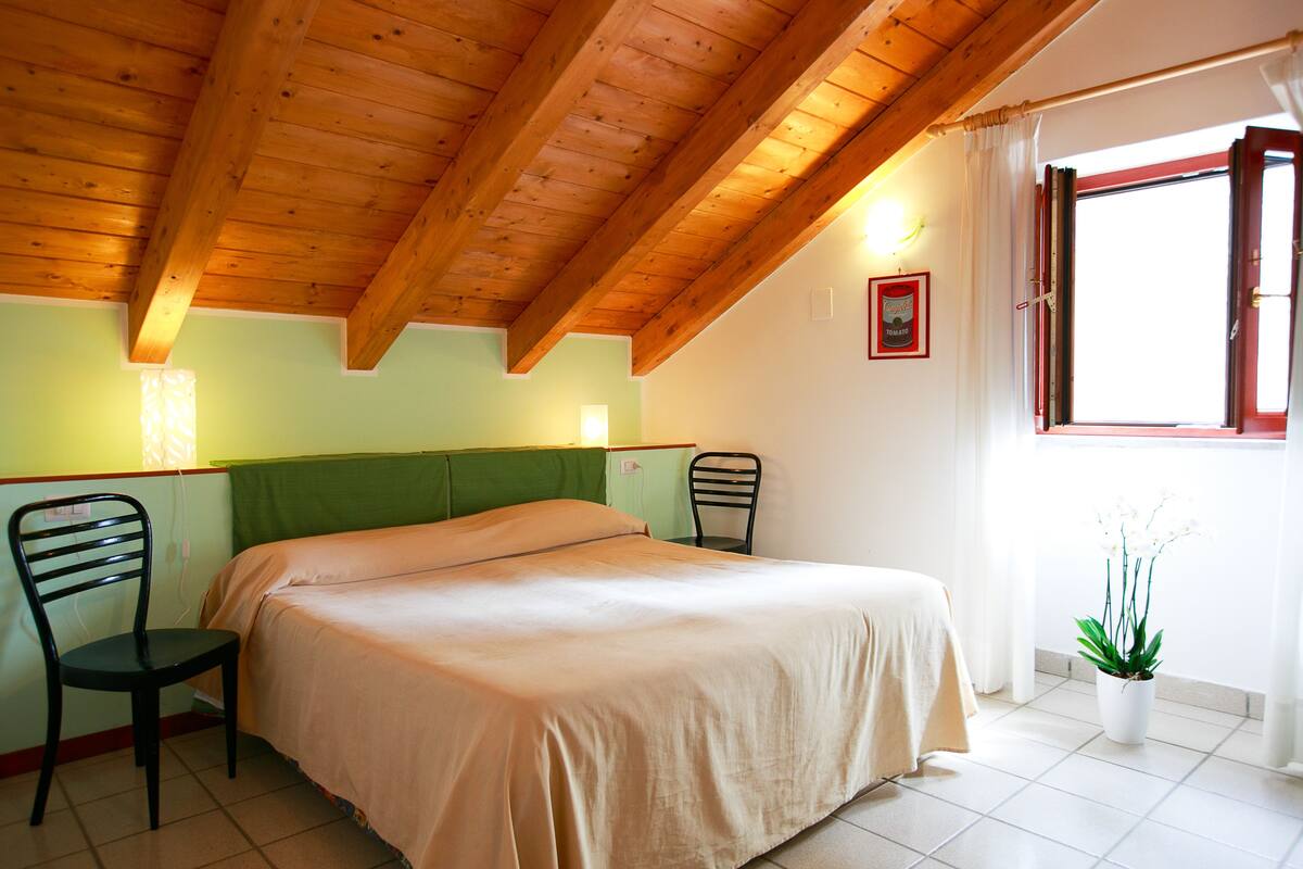 A room with a bed, two chairs, a window with curtains, and a potted plant.