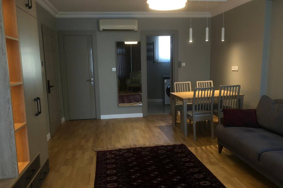 A modern living room with a sofa, dining table, and chairs. There is a wooden floor, a dark patterned rug, and a ceiling light fixture.