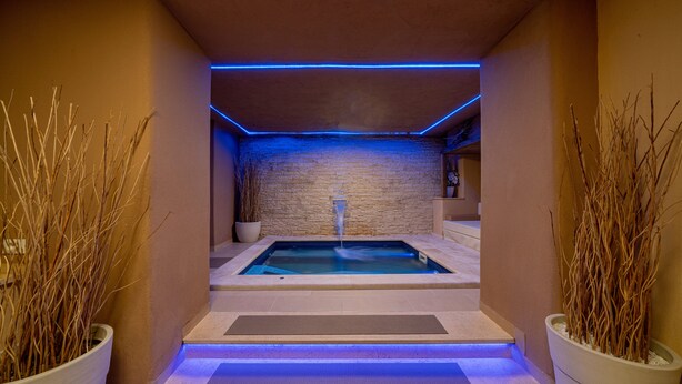 Zona de spa con hidromasaje, iluminación LED azul y dos plantas grandes en macetas.