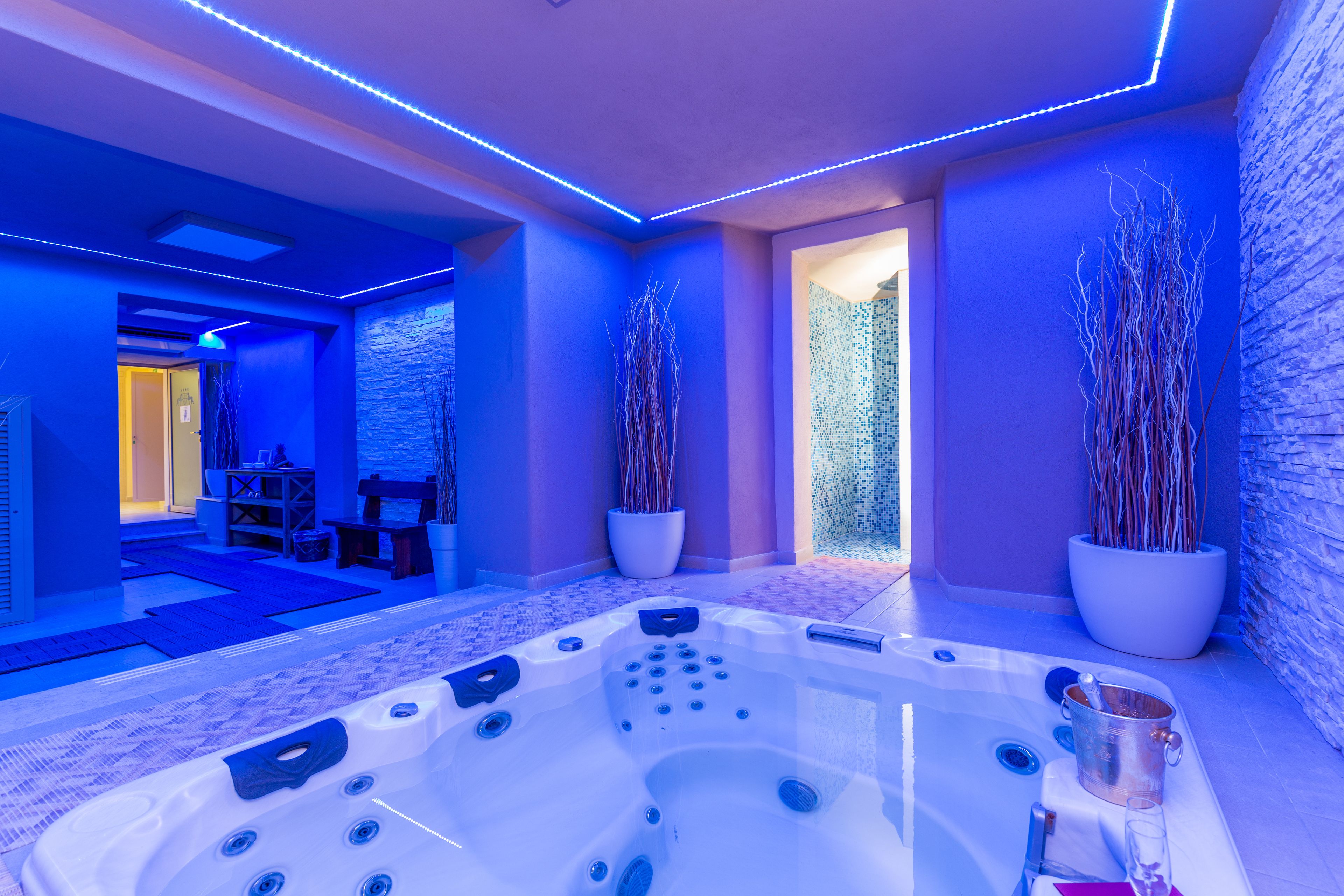 sauna, hot tub, steam room, hot springs/mineral springs