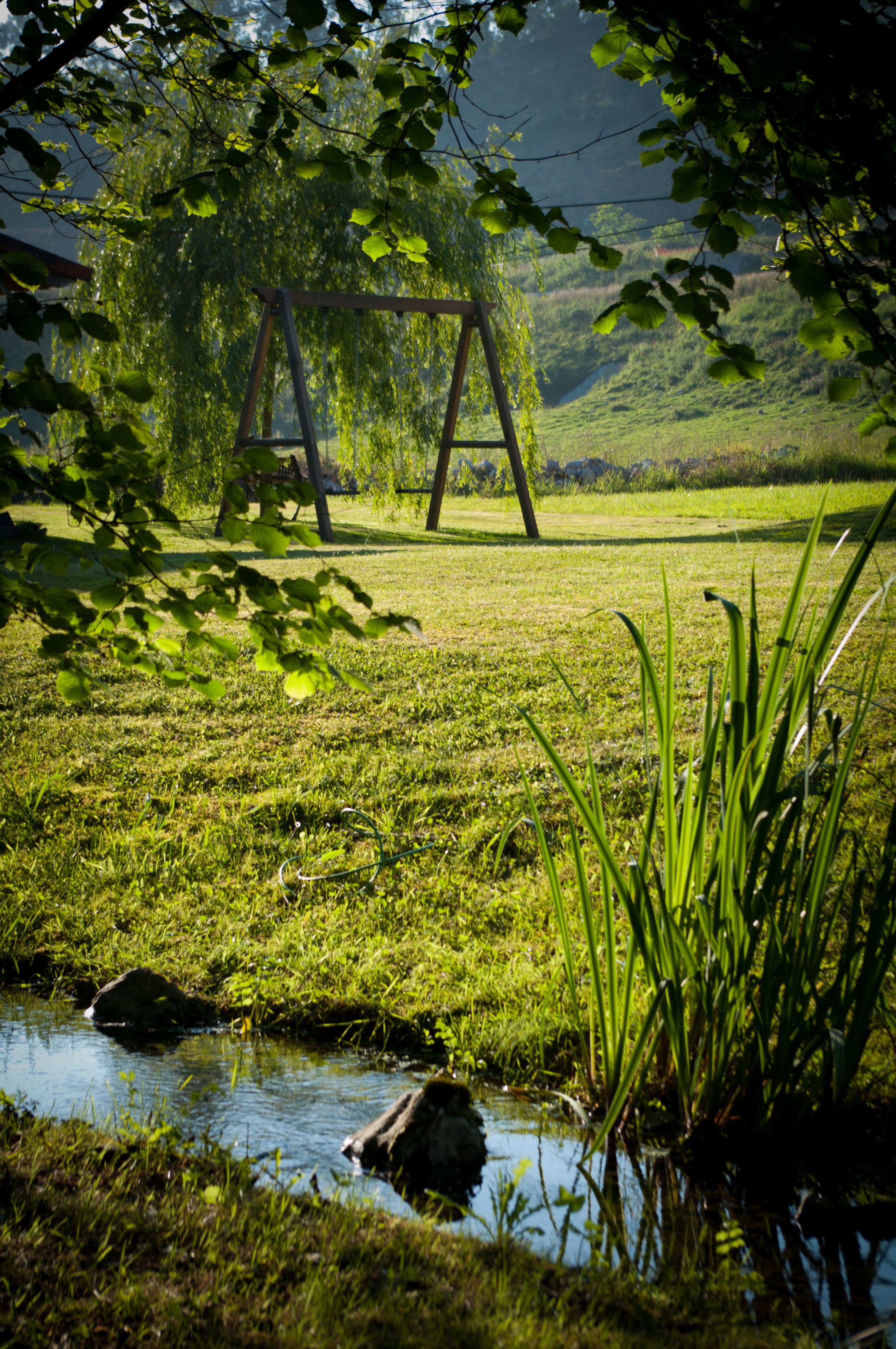 A grassy field with a swing set and a small stream.