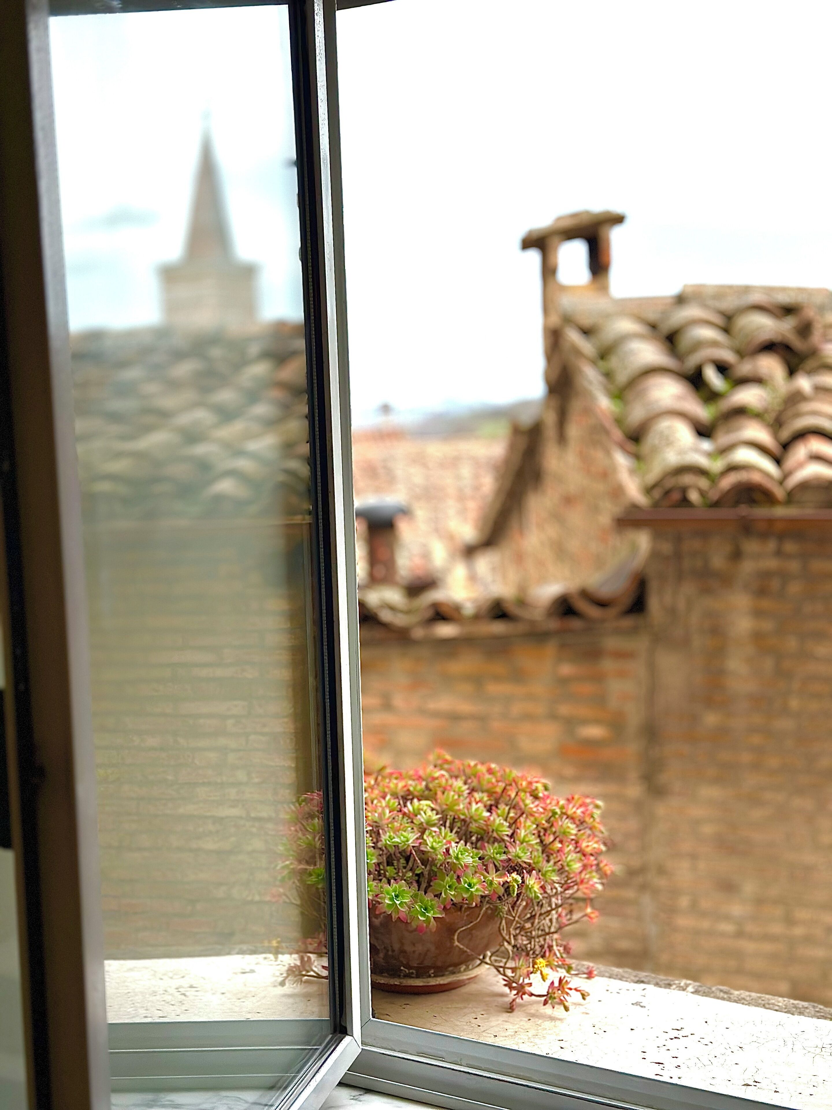 Foto - Albergo Hotel Raffaello