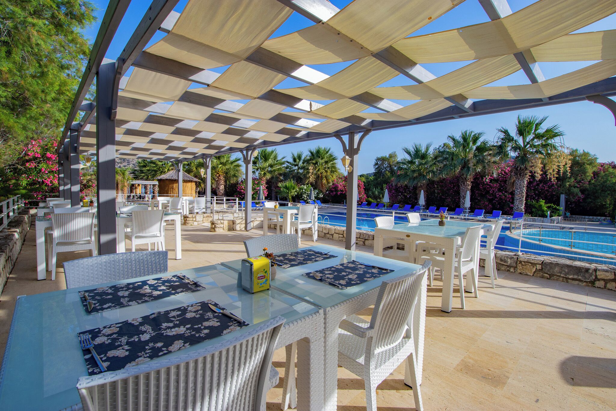 Un patio exterior con piscina, mobiliario de mimbre blanco y una pérgola que ofrece sombra.