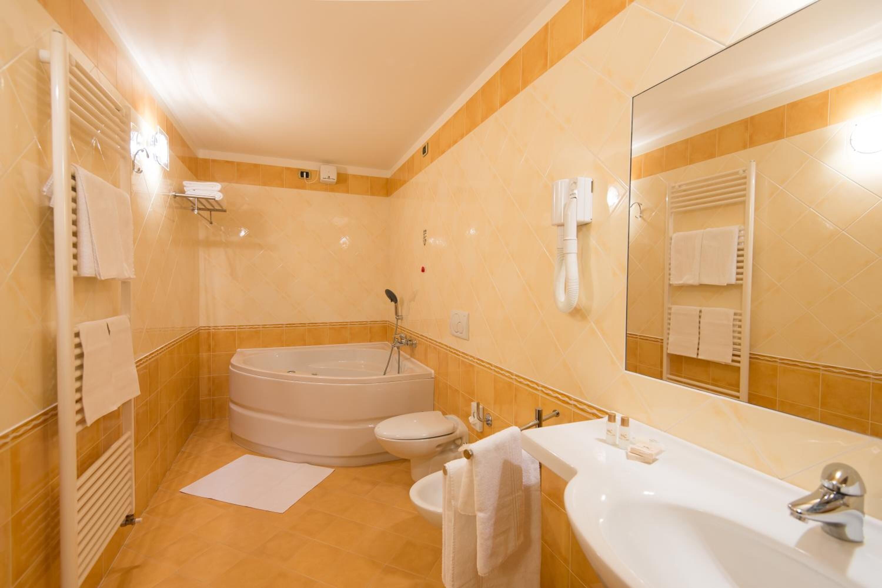 hair dryer, bidet, towels