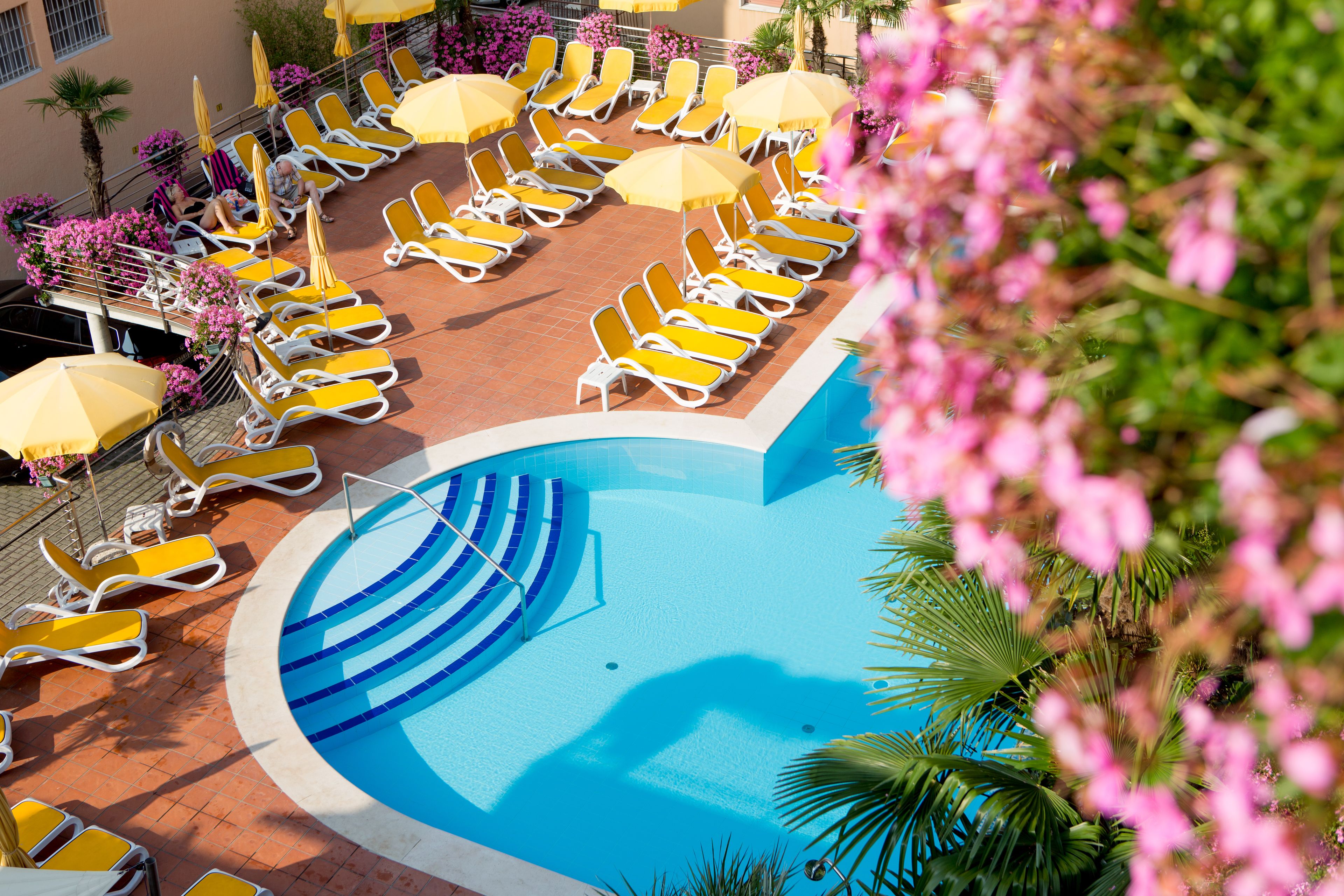 Un área de piscina con tumbonas y sombrillas, rodeada de flores rosadas y palmeras.