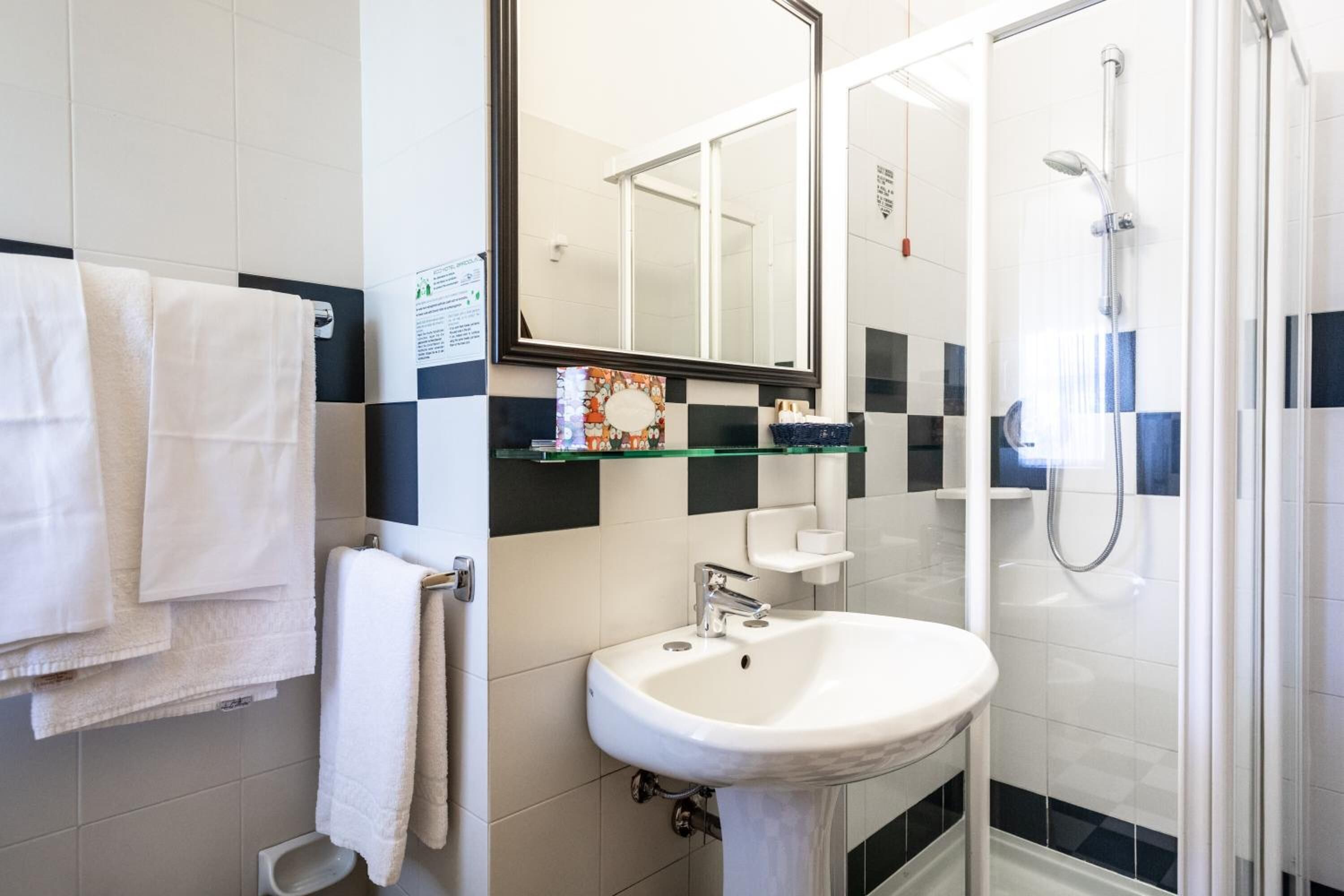 hair dryer, bidet, towels