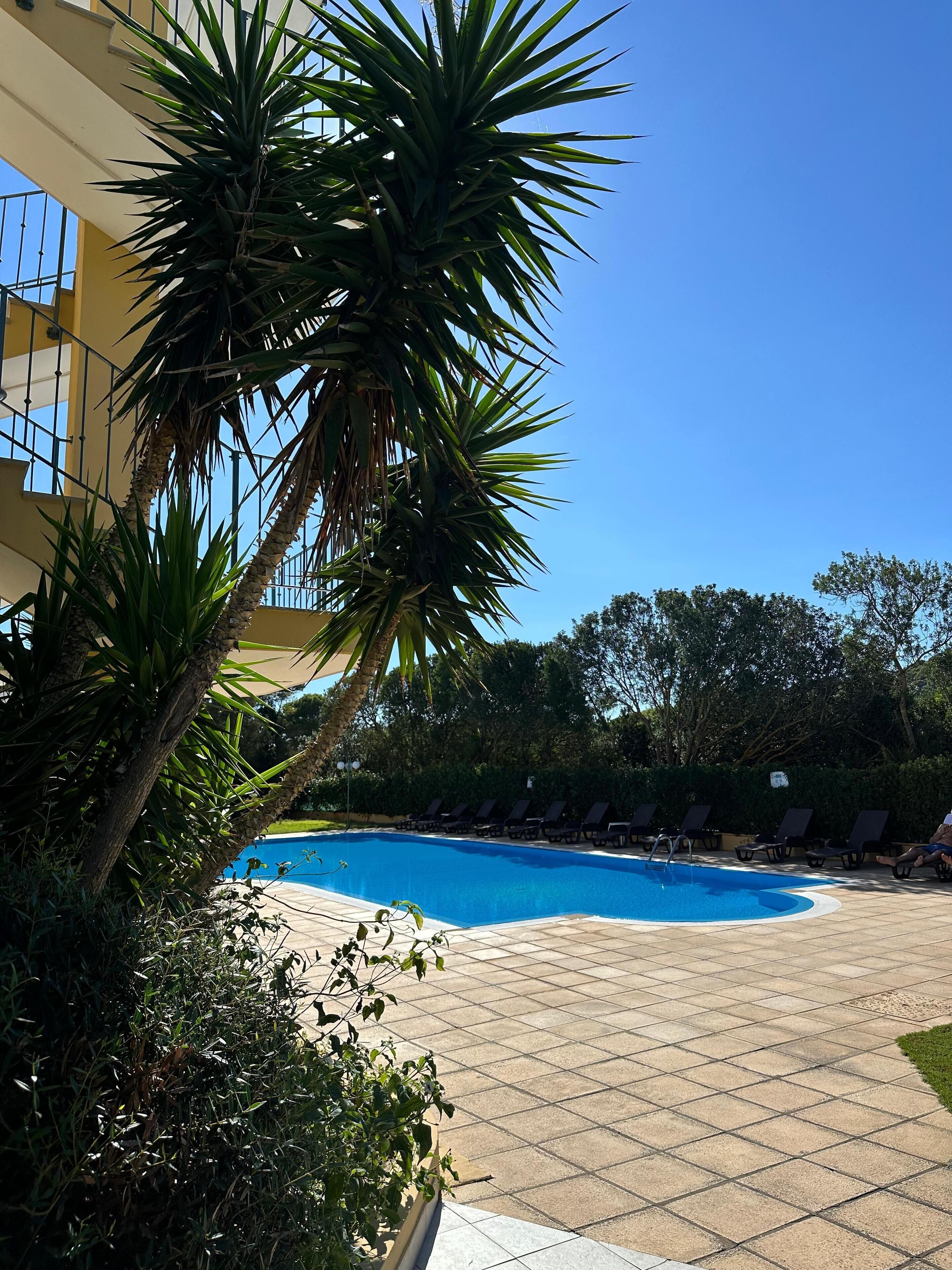 A pool area with lounge chairs, palm trees, and a tiled deck.