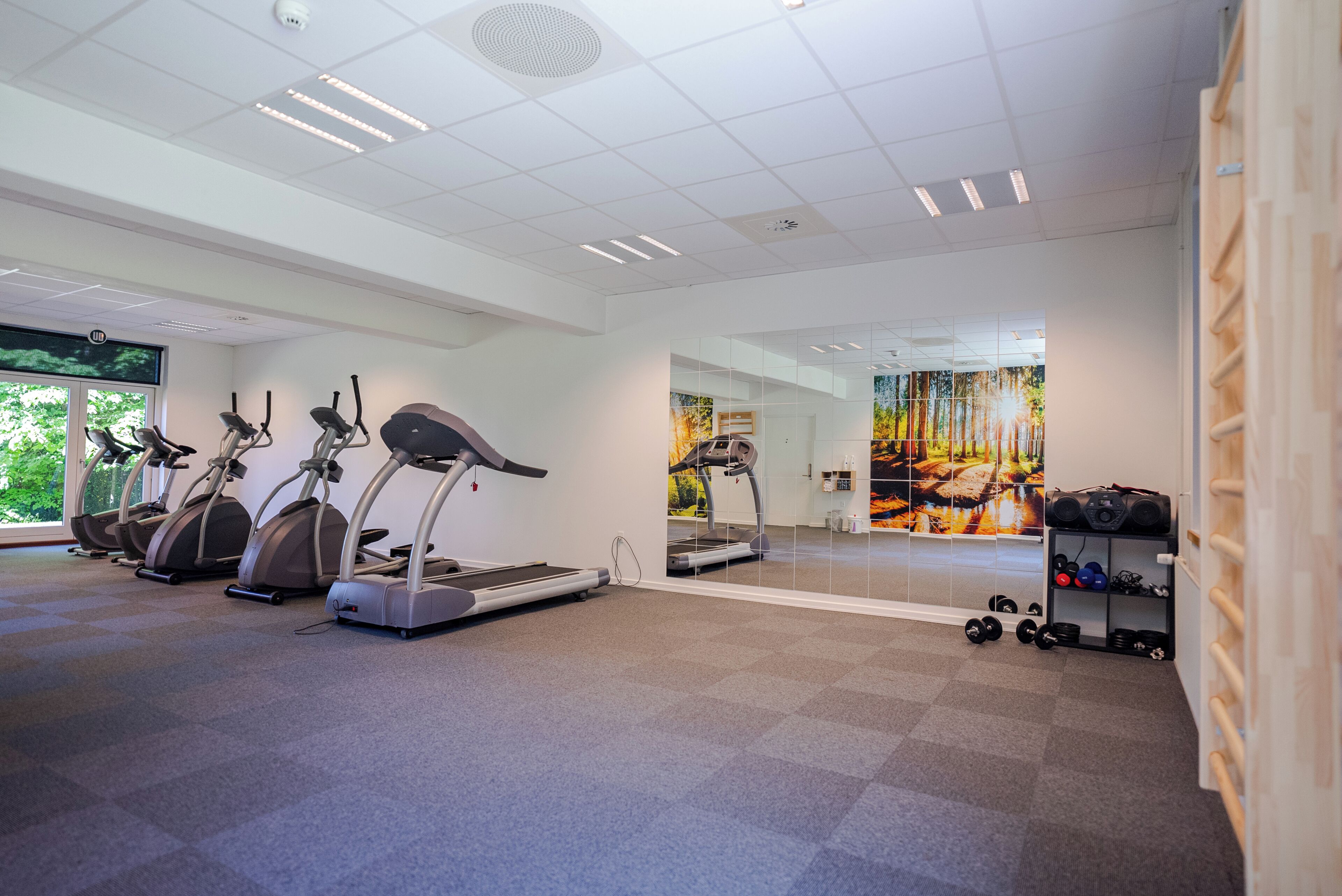 A gym with treadmills, a mirrored wall, and a window with a view of trees.