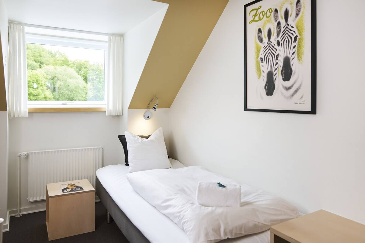 Basic Single Room, 1 Twin Bed | Desk, iron/ironing board, WiFi (free), bed sheets