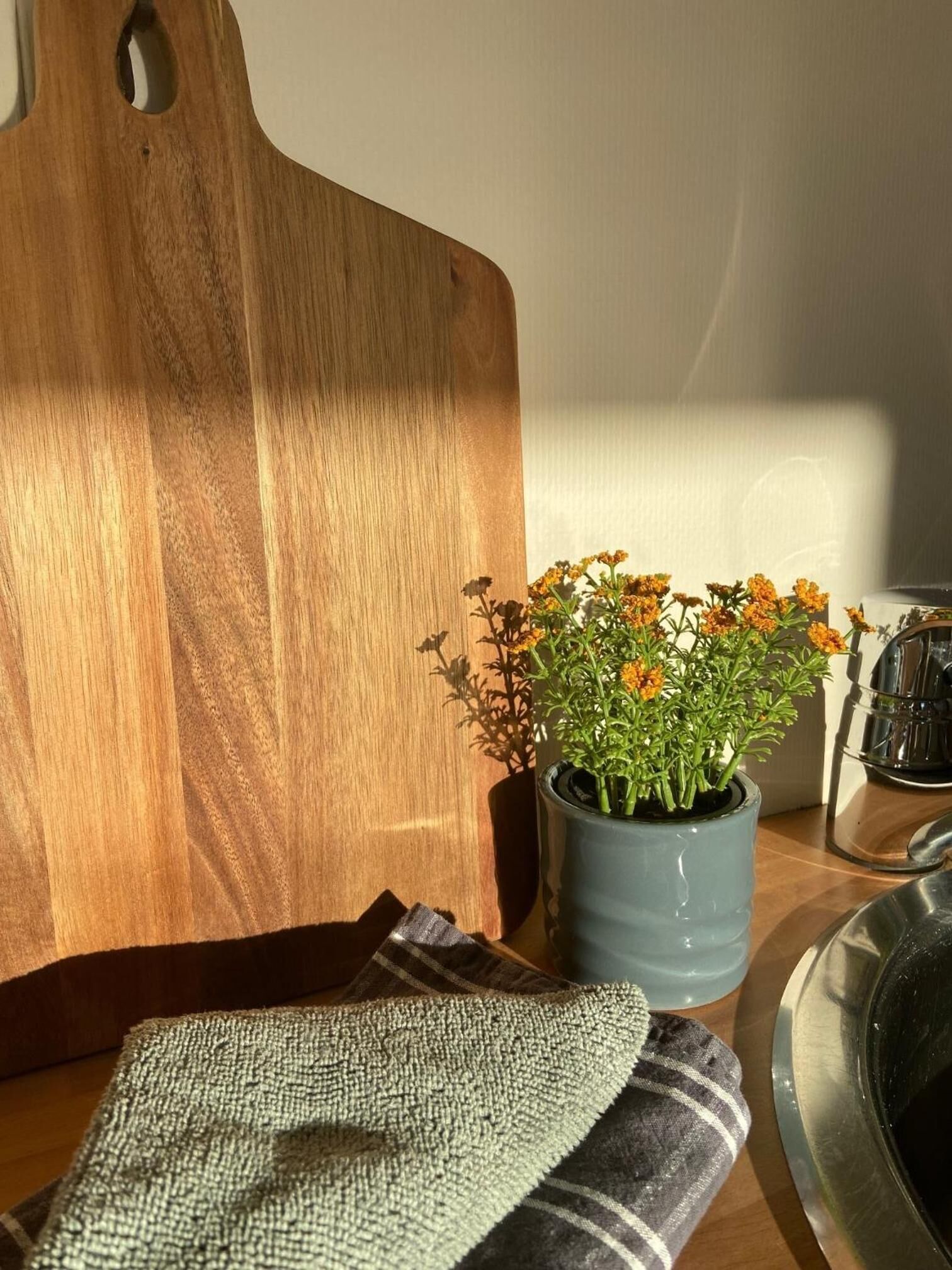 A wooden cutting board, a potted plant with orange flowers, a cloth, and a metal bowl on a wooden surface.
