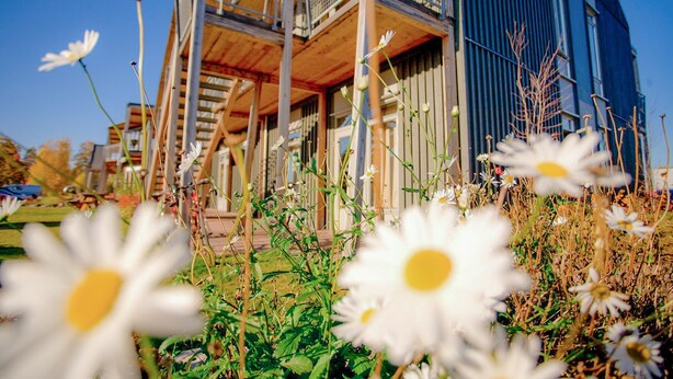 A building with a wooden balcony and a blue facade. - Vikingskipet Hamar Hostel & Apartments (Hamar)