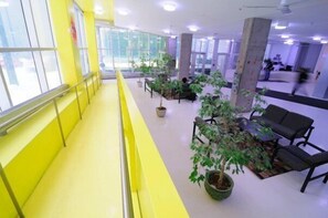 A spacious indoor area with yellow walls, large windows, and several potted plants.