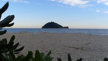 Een strand met een klein eiland in de verte en wat begroeiing op de voorgrond.