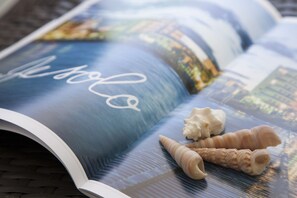 Eine Magazinseite mit Stadtansicht und Meeresschnecken.