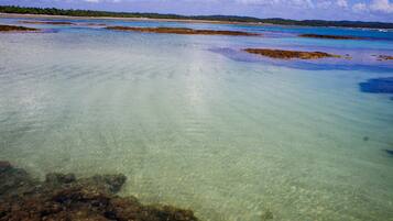 Natural pool