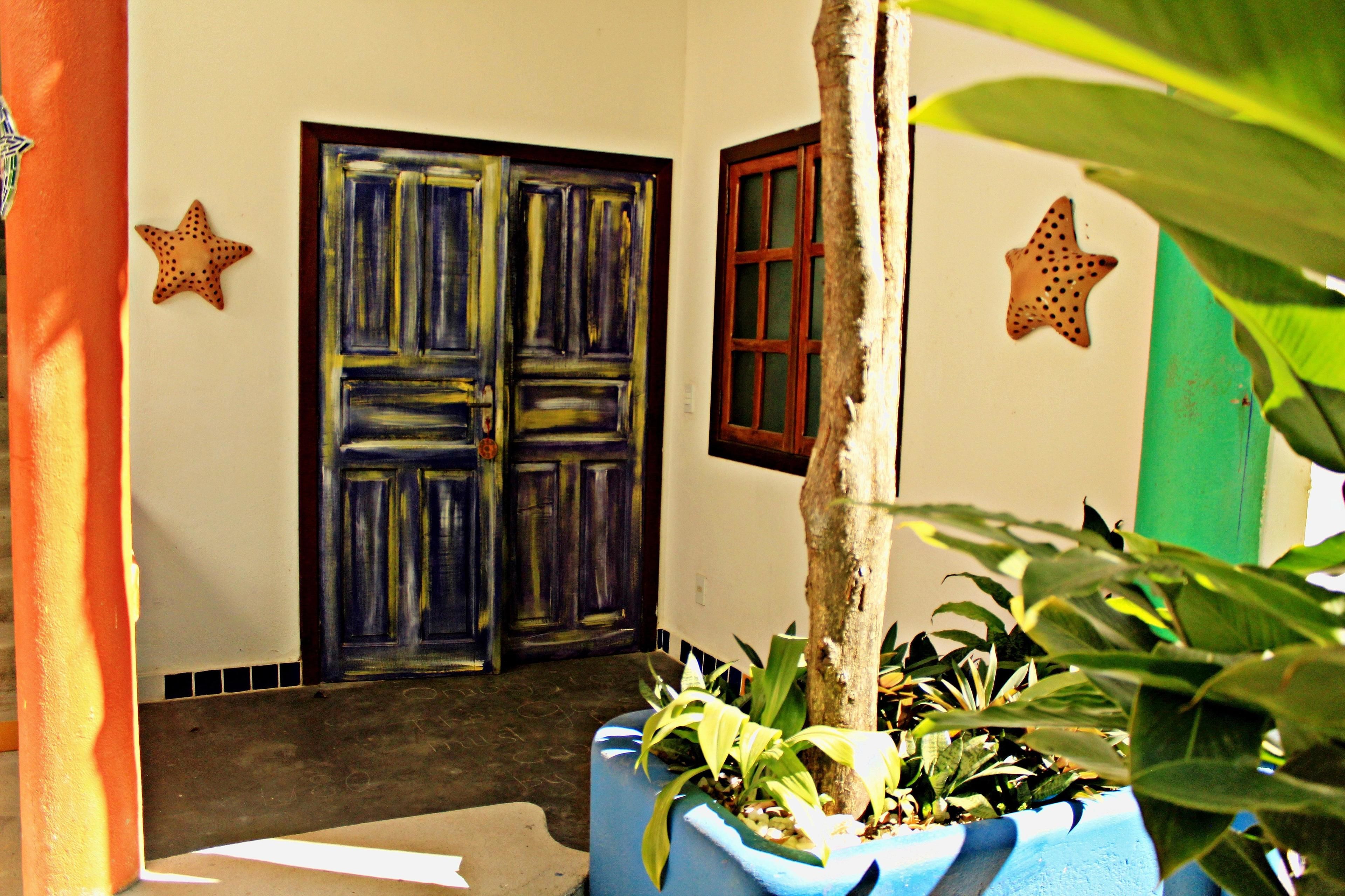 A door with a dark blue and yellow design, a green door, and a potted plant with green leaves.