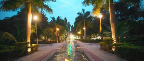 Vista noturna de um lago iluminado, cercado por palmeiras e um caminho pavimentado.