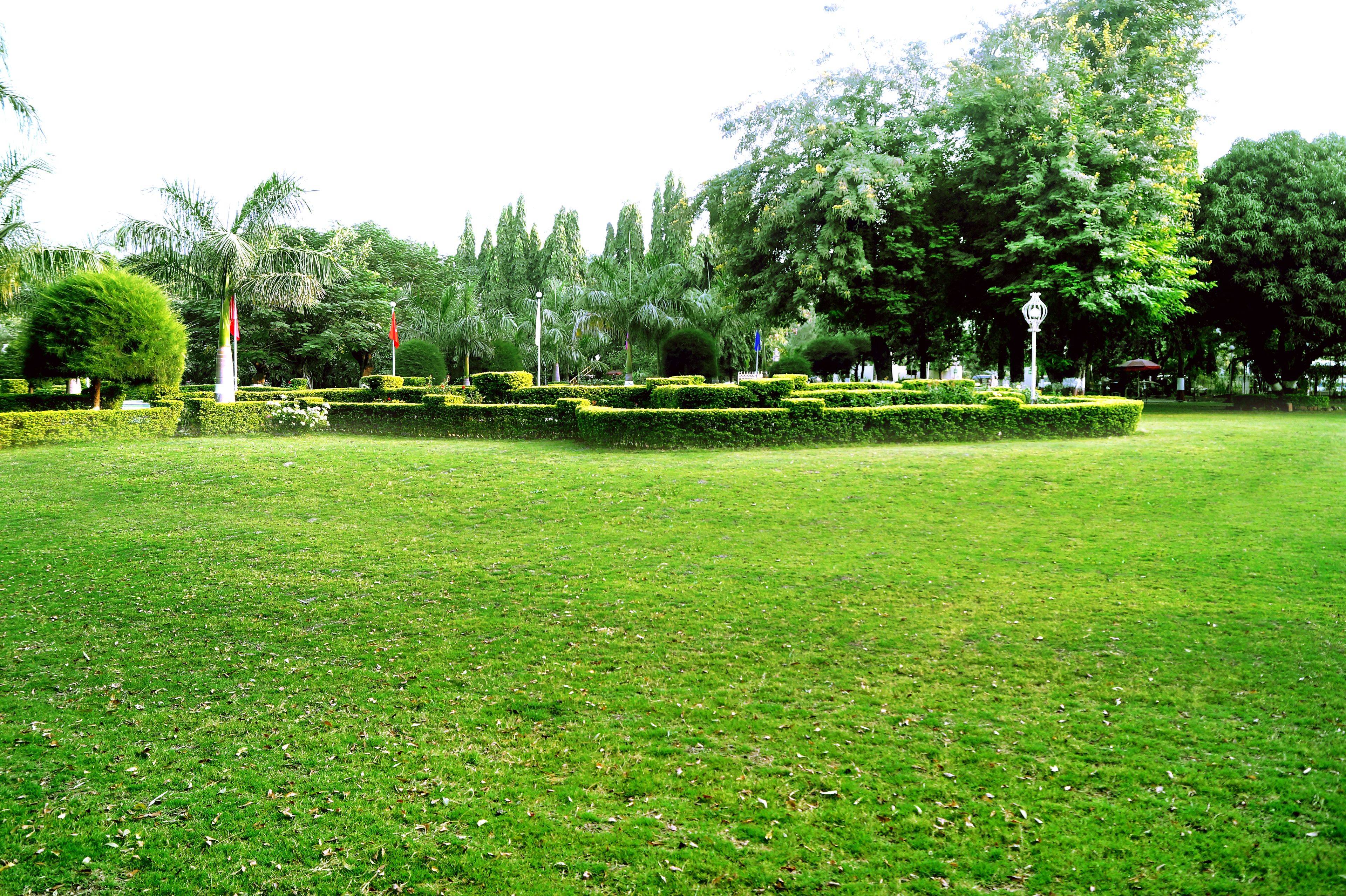 Un parque bien cuidado con céspedes impecables, diversos árboles y un cielo despejado.