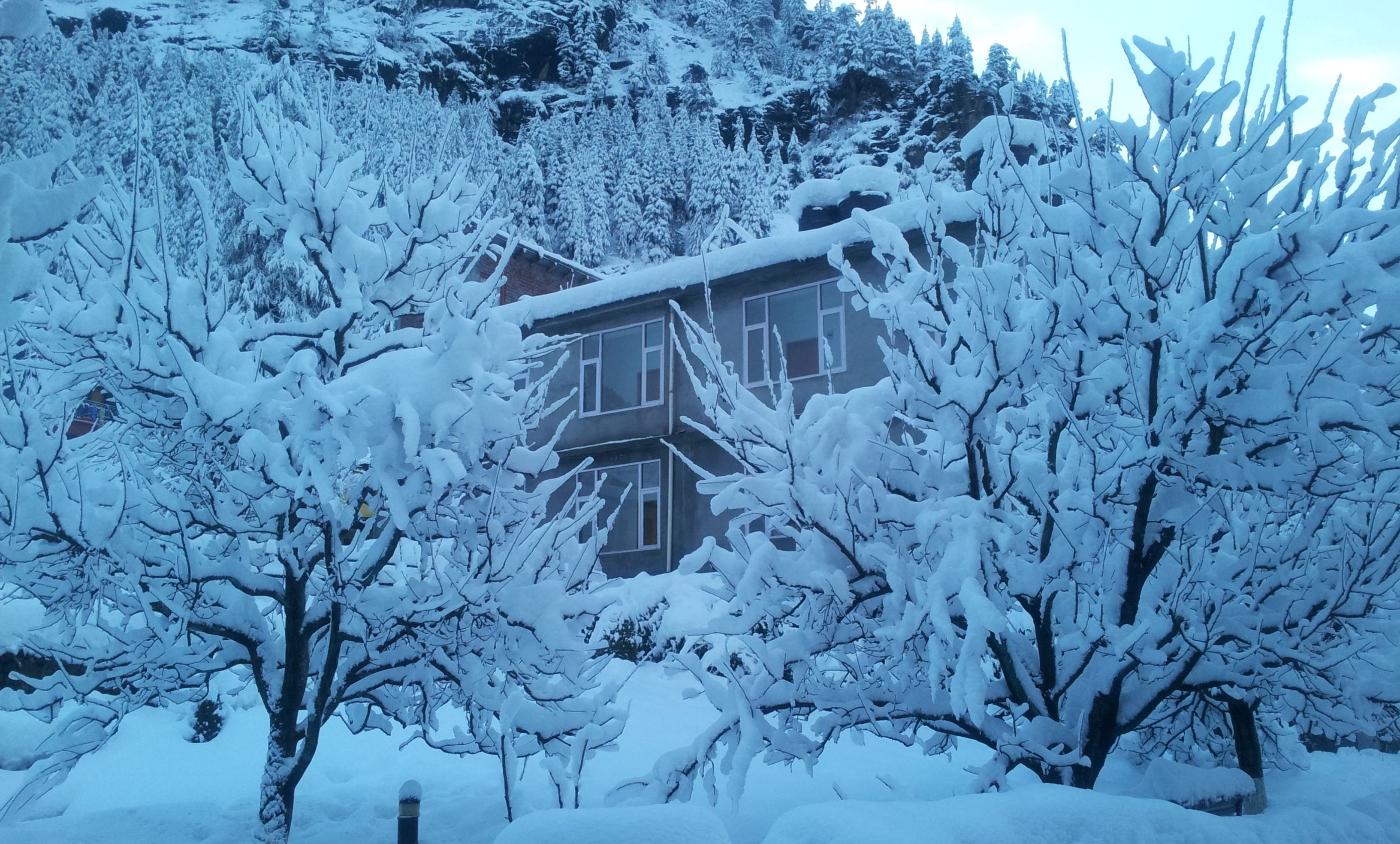 Ein mit Schnee bedecktes Gebäude mit erkennbarem Fenster und einer Tür, umgeben von schneebedeckten Bäumen.