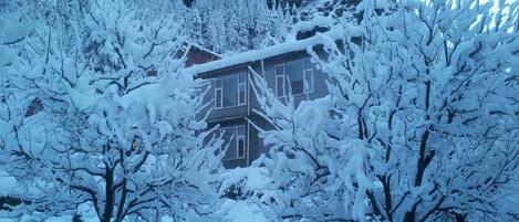 Ein mit Schnee bedecktes Gebäude mit erkennbarem Fenster und einer Tür, umgeben von schneebedeckten Bäumen.