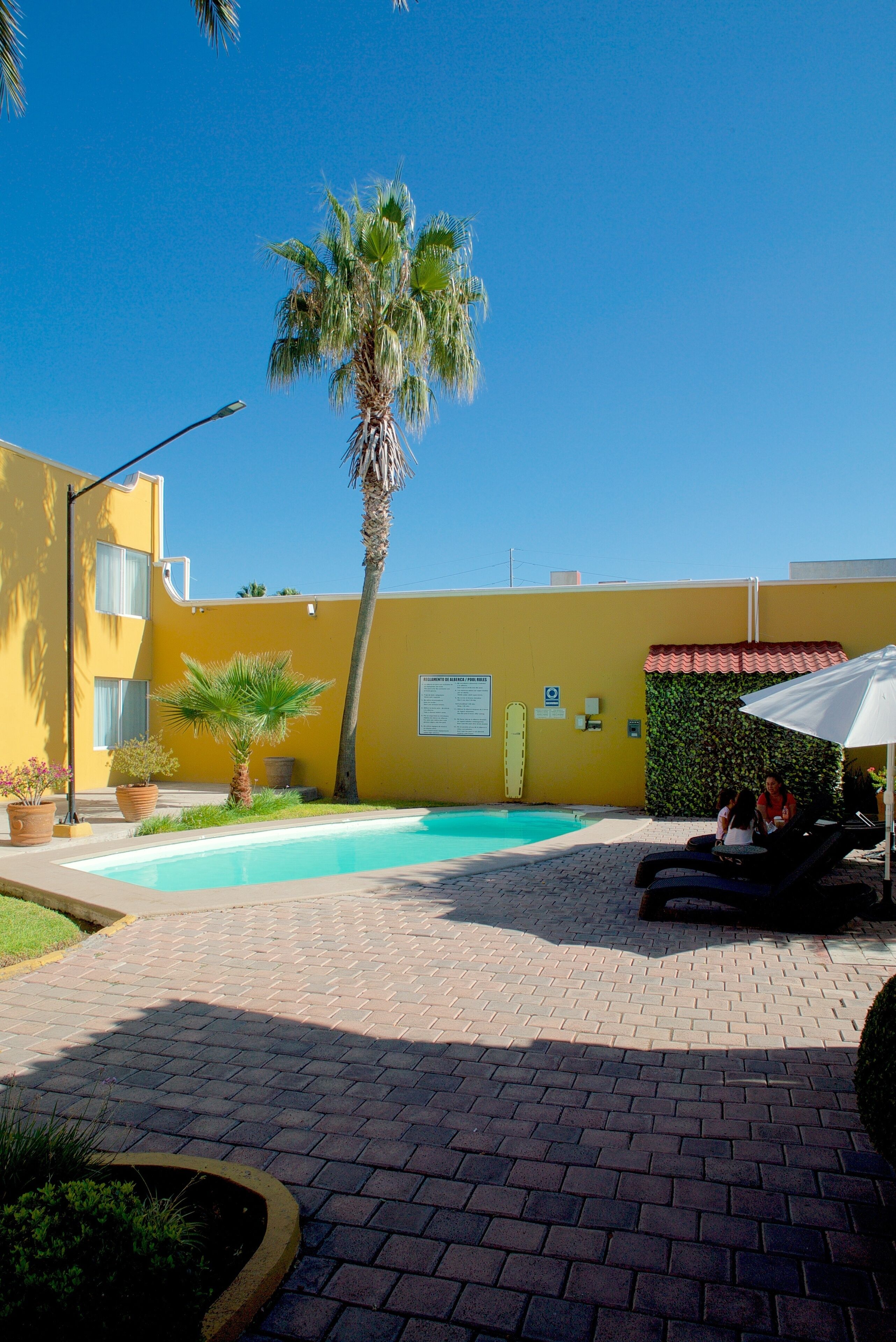 A pool area with a palm tree, lounge chairs, and a yellow building.