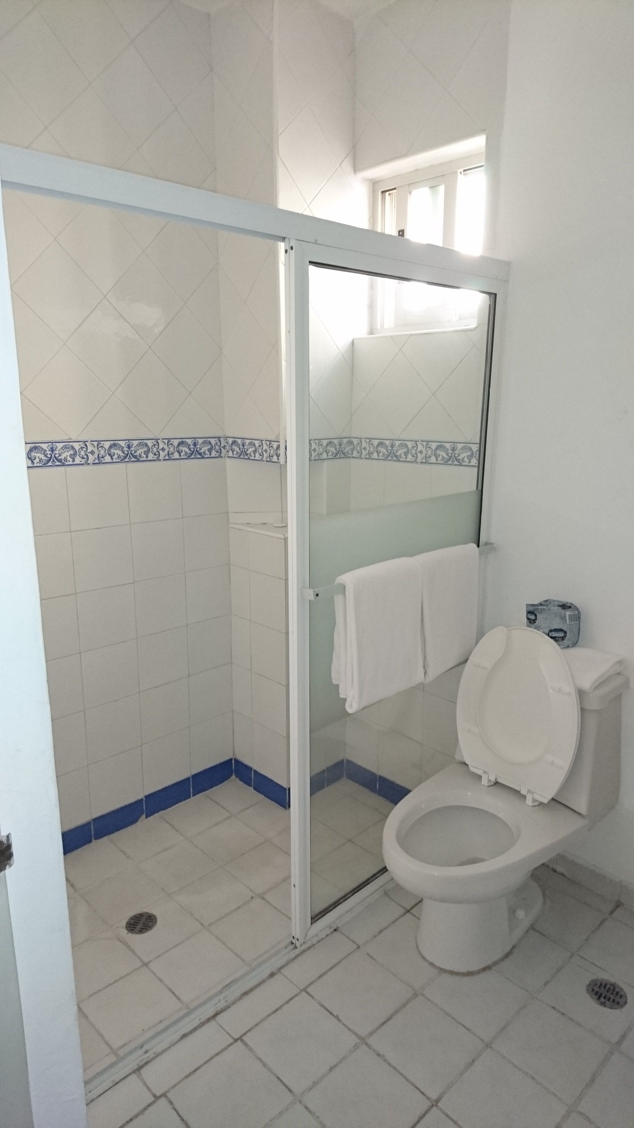 A bathroom with a glass-enclosed shower, a toilet, and a sink.