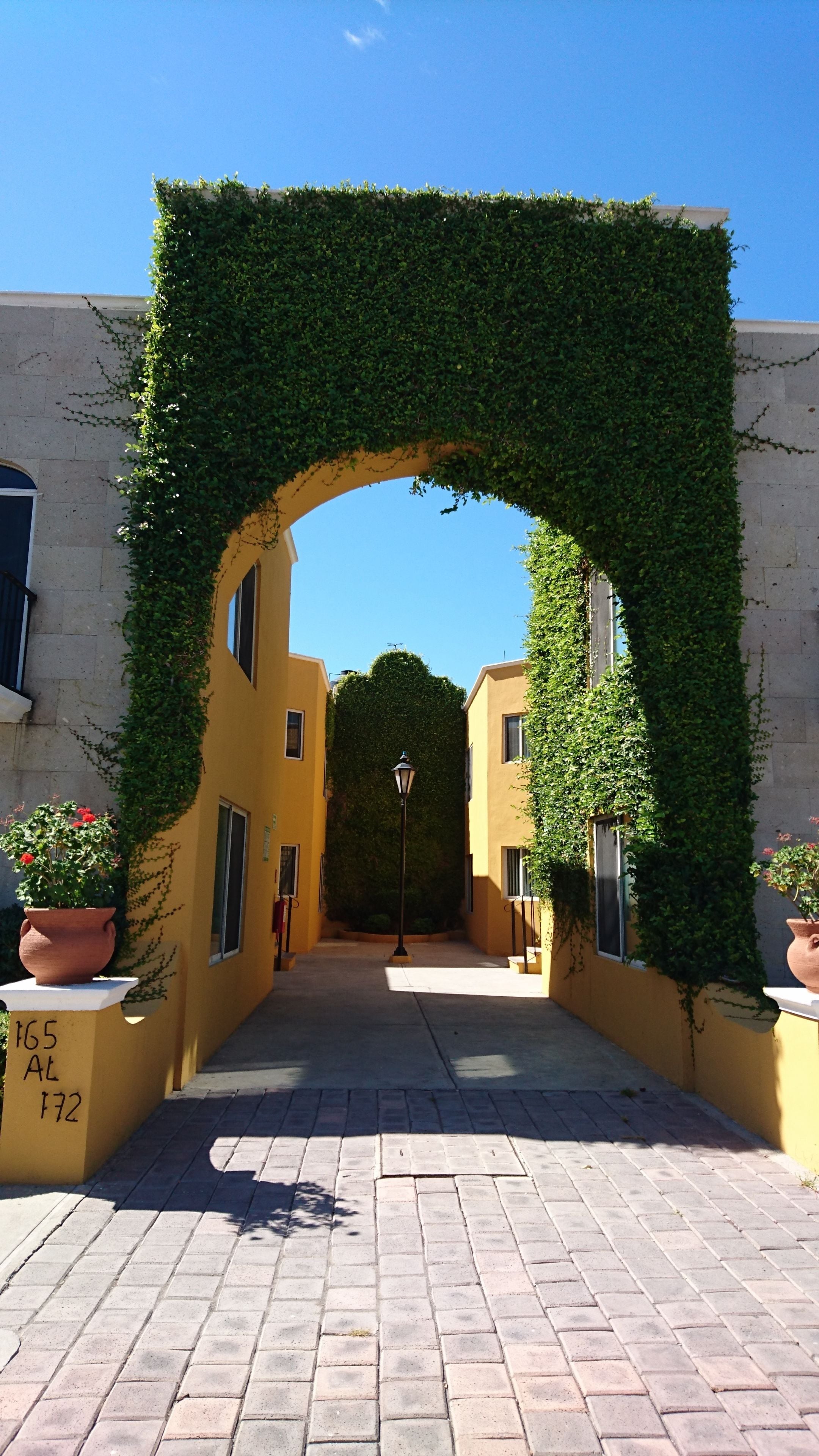 An archway covered in ivy leading to a building with a yellow facade.