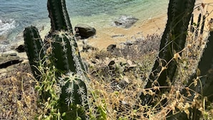 근처 해변