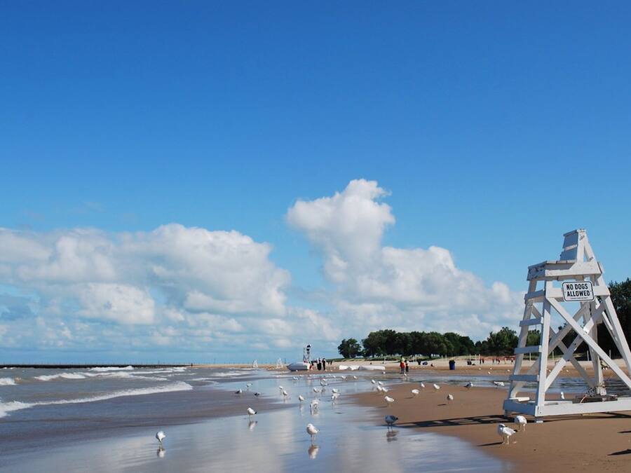 Beach nearby, white sand