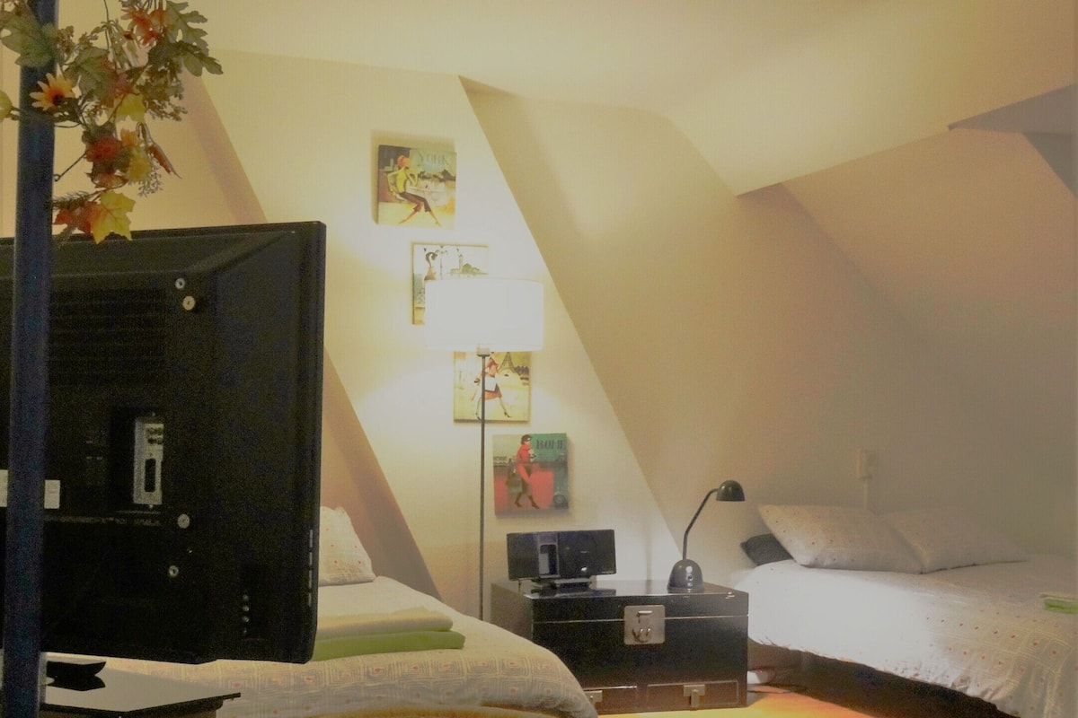 Un dormitorio acogedor en el ático con una cama, un televisor, una mesita pequeña y una planta decorativa.