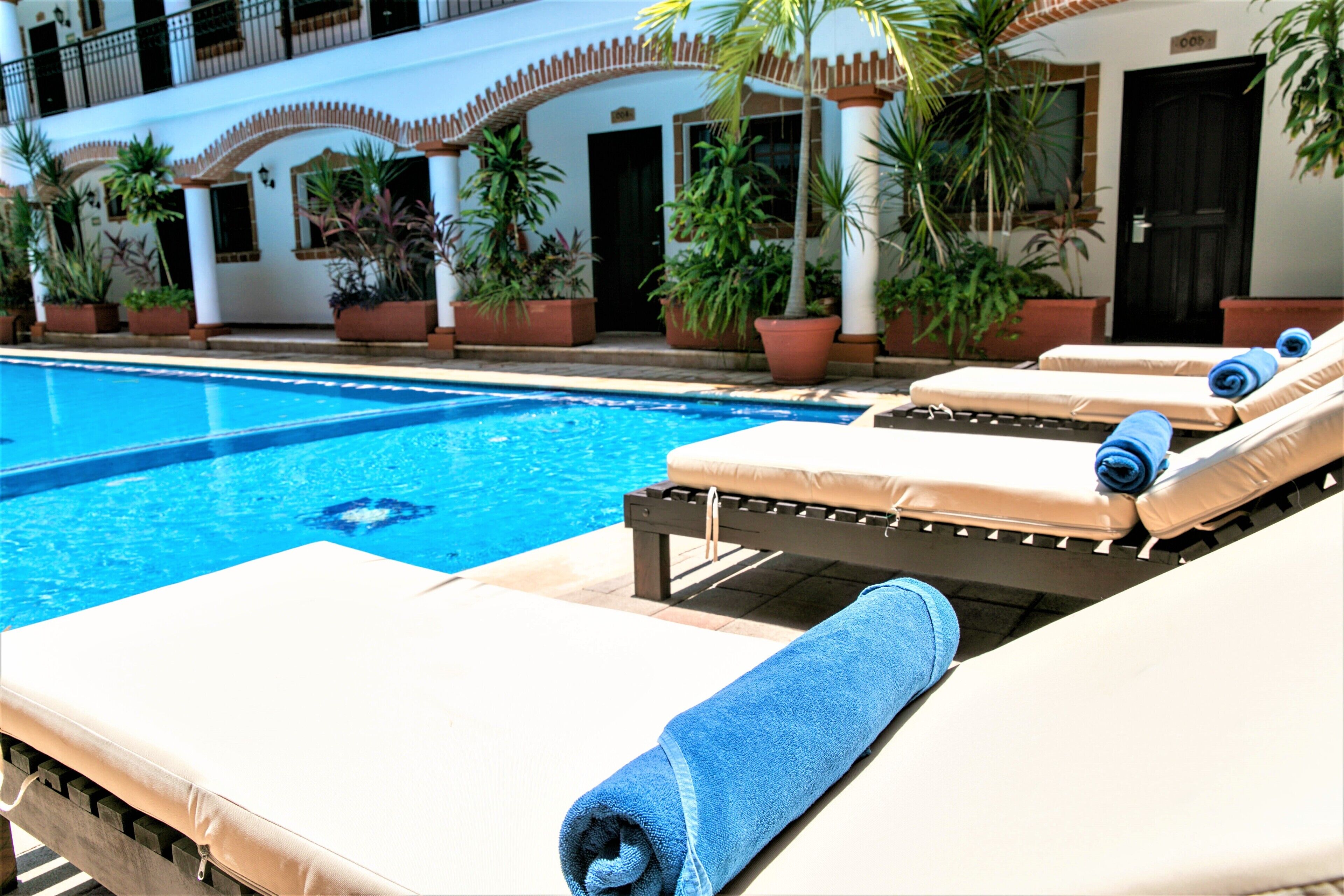 Un espace aménagé au bord de la piscine, avec des chaises longues et des plantes en pot.