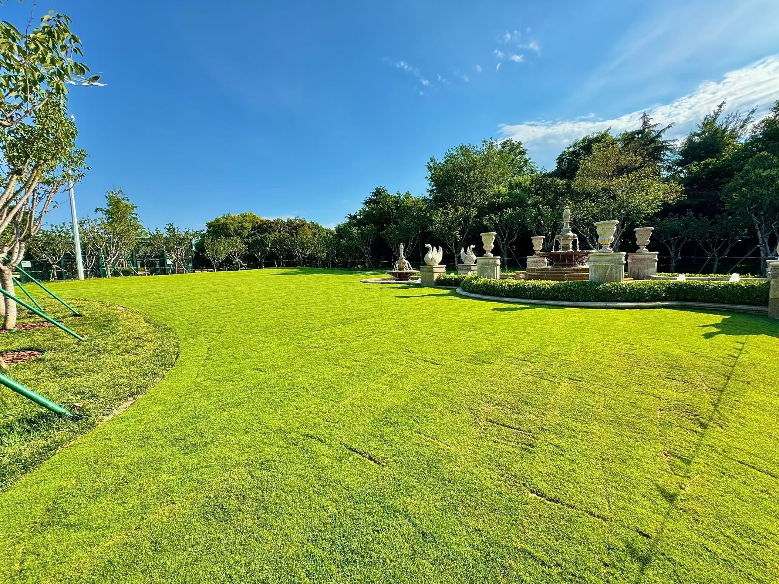 A well-maintained park with a fountain, green grass, and trees.