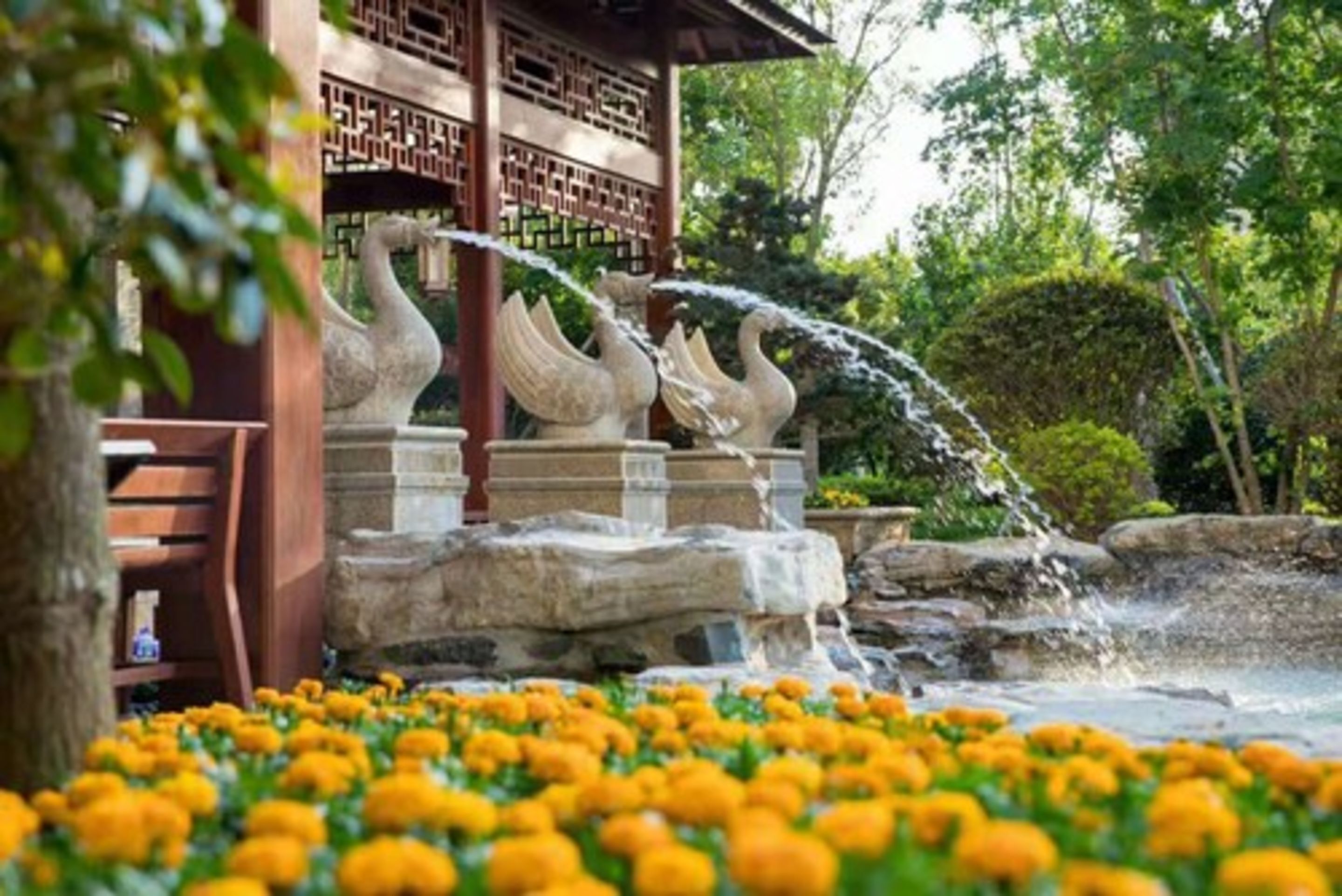 Ein traditionelles Pavillon mit einer Steintreppe und Wasserspeiern, umgeben von einem Garten mit Studentenblumen.