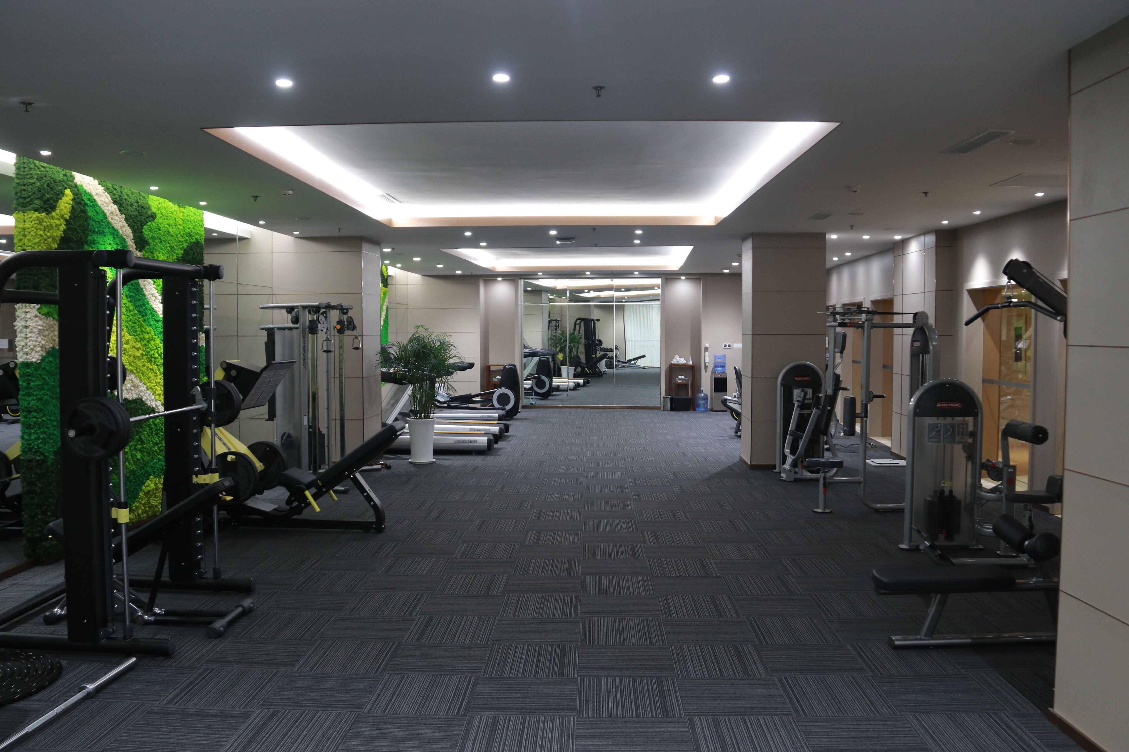 Una palestra moderna con diverse attrezzature per esercizi, una parete verde e un pavimento rivestito di moquette.