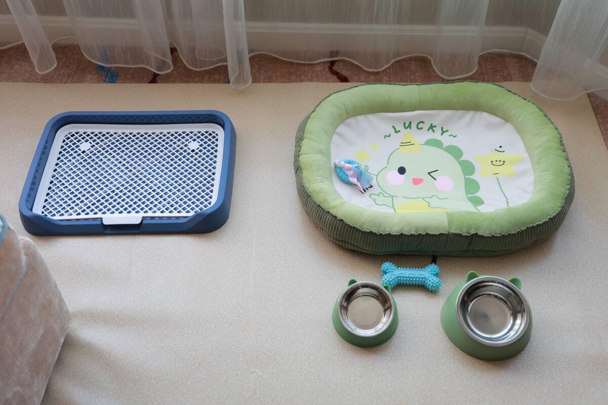 Una cama para mascotas con borde verde y cojín blanco, un tapete azul para cama de mascota y dos cuencos metálicos para agua.
