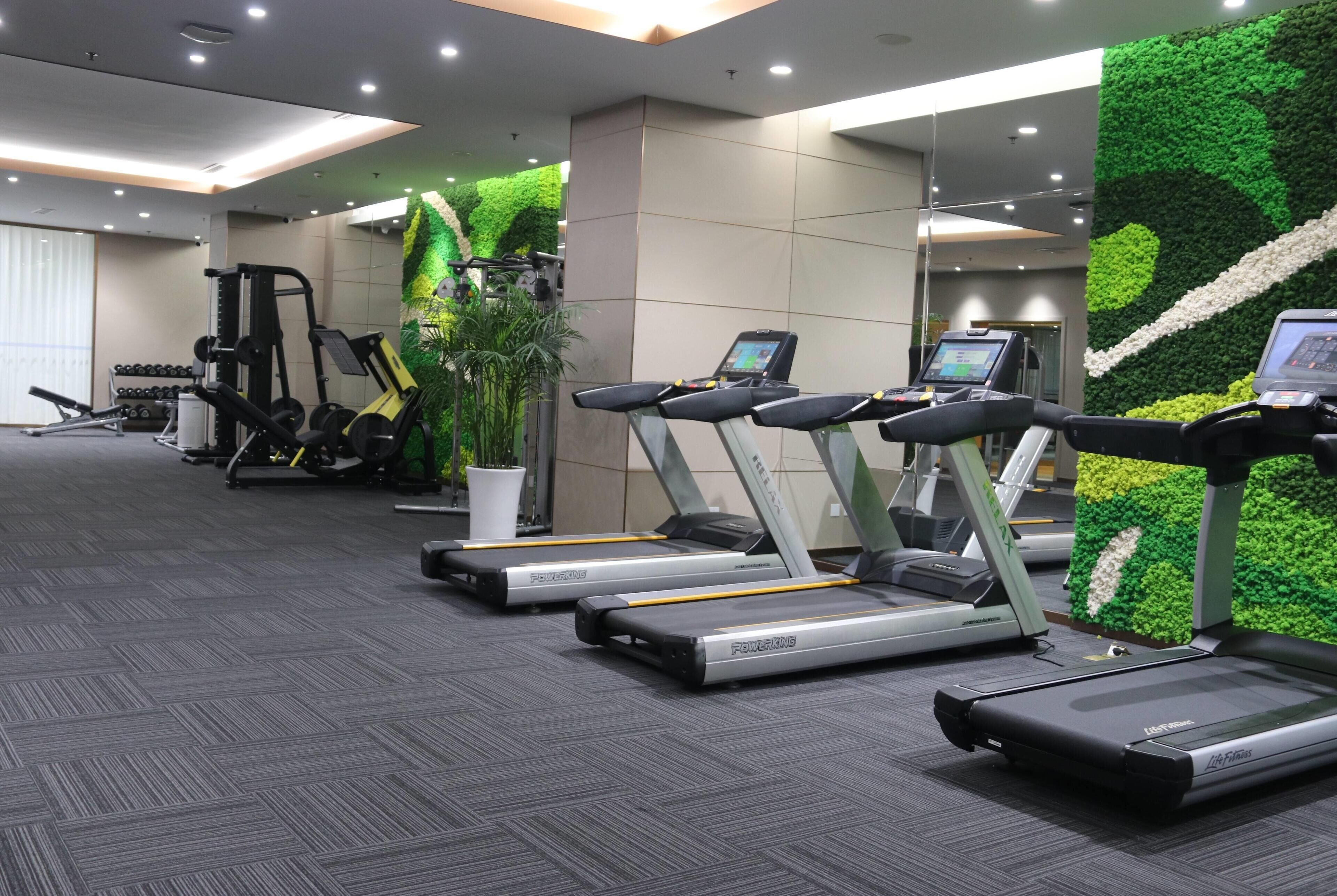 Un gimnasio con cintas de correr, máquinas de pesas y una amplia pared verde.