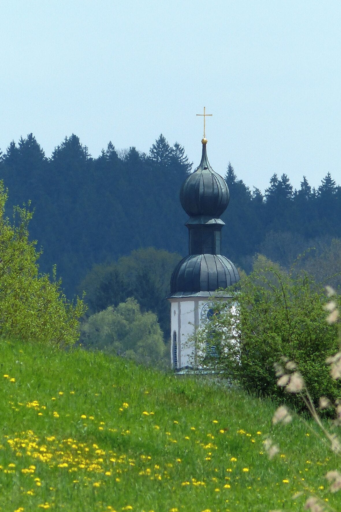 A church with a dark dome and a cross on top, surrounded by a grassy field with yellow flowers and trees in the background.