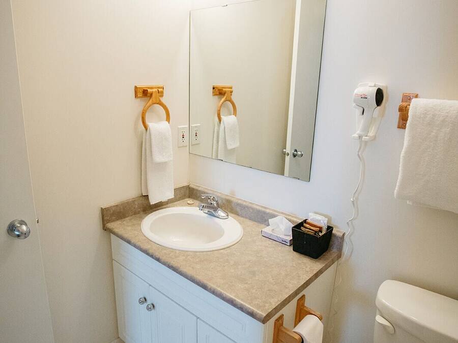 Un baño con lavamanos, espejo y tocador blancos, un inodoro y un cubo de basura.